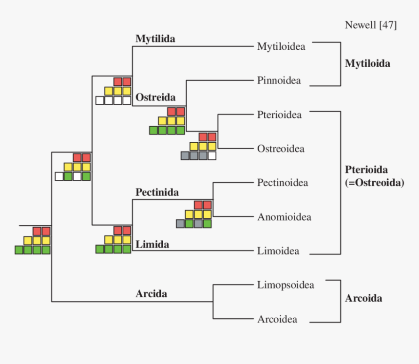 Diagram, HD Png Download, Free Download