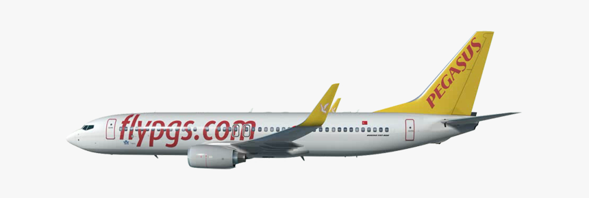 Thumb Image - Pegasus Airlines Png, Transparent Png, Free Download