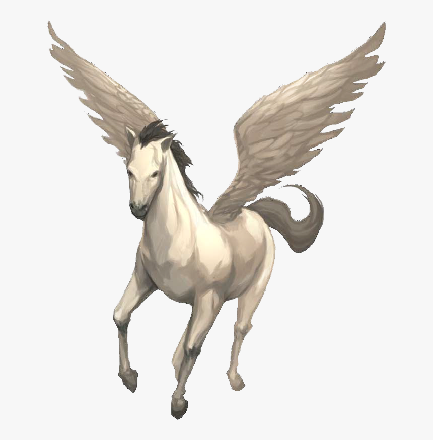 Pegasus - 02b - Pathfinder Pegasus, HD Png Download, Free Download