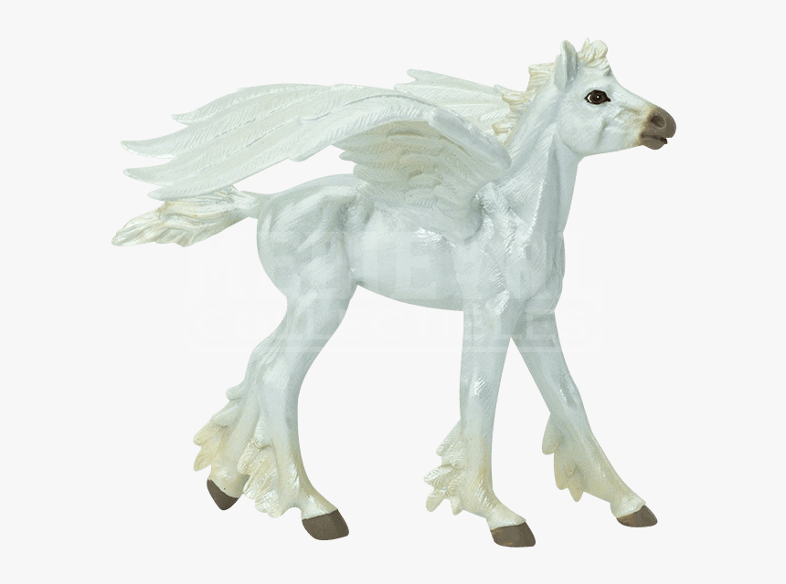 Transparent Baby Horse Png - Safari Ltd, Png Download, Free Download
