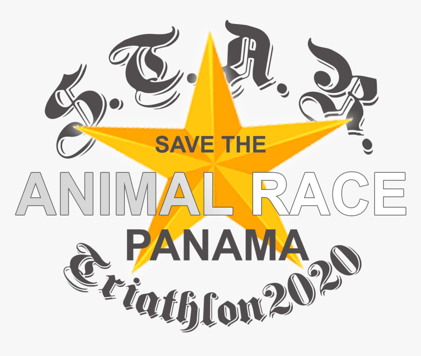 2020 Triathlon Panama - Chicago Bears Logos, Uniforms, And Mascots, HD Png Download, Free Download