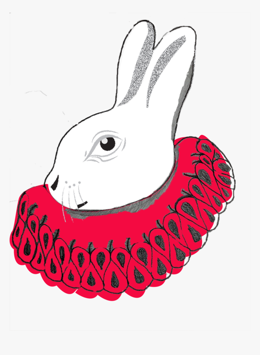 Whiterabbit - Domestic Rabbit, HD Png Download, Free Download