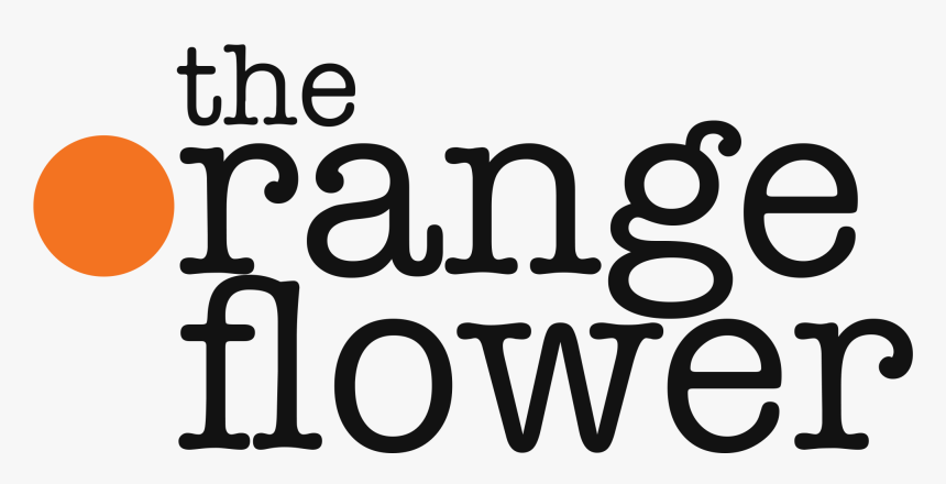 Oval, HD Png Download, Free Download