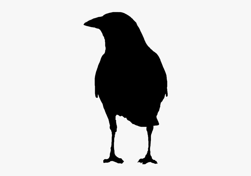 Picture - Fish Crow, HD Png Download, Free Download