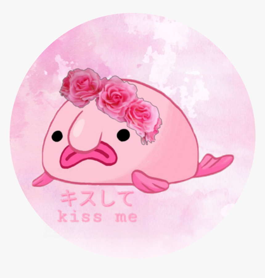 #blobfish - Blobfish Clipart, HD Png Download, Free Download