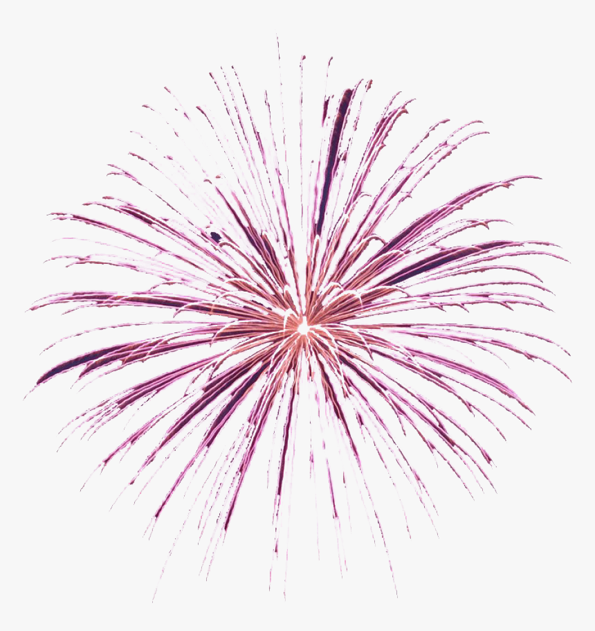 Animated Fireworks Png Background Image - Transparent Background Firework Gif, Png Download, Free Download