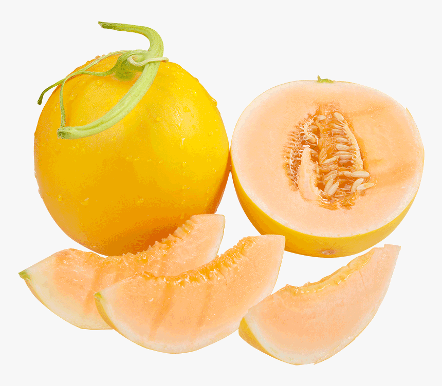 Melon, HD Png Download, Free Download