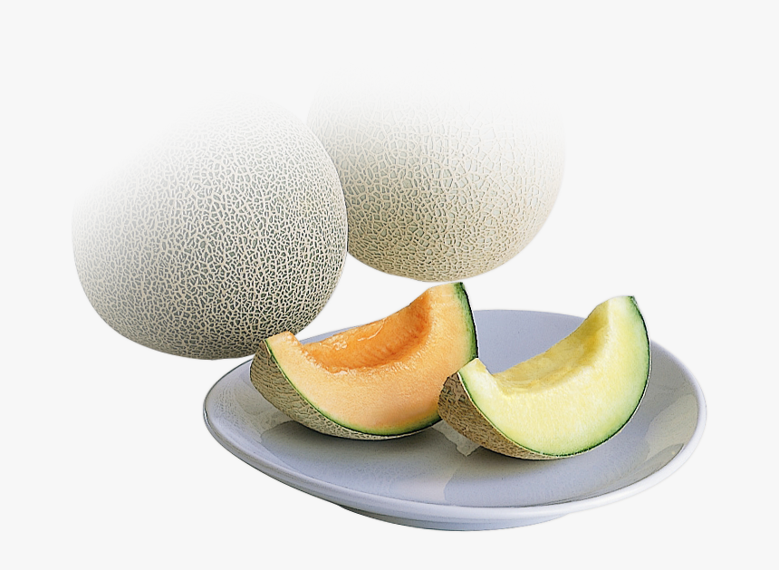 Honeydew, HD Png Download, Free Download