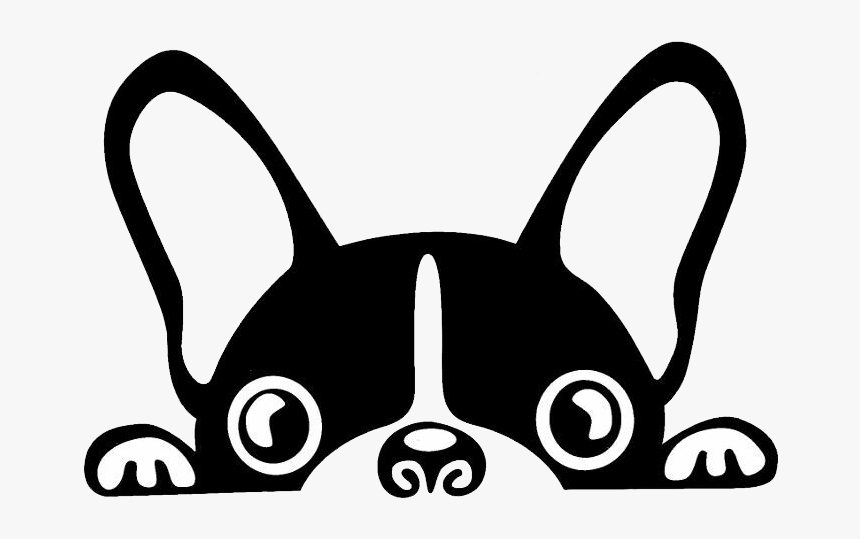 Boston Terrier French Bulldog Brazilian Terrier Puppy - Easy To Draw Boston Terrier, HD Png Download, Free Download