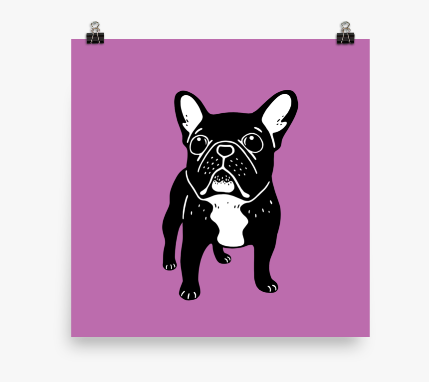 French Bulldog, HD Png Download, Free Download