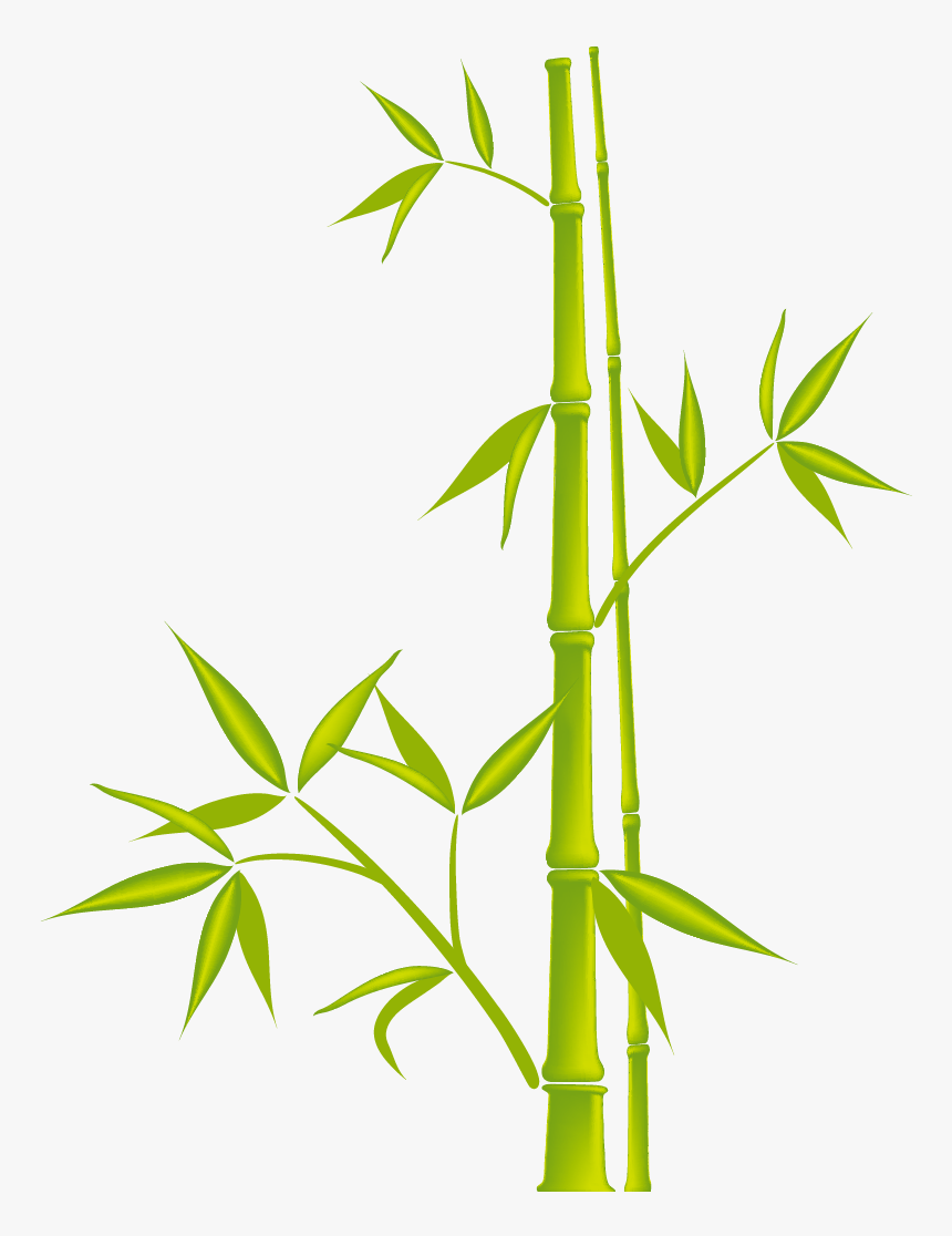 Bamboo Clip Art Free Transparent Png , Png Download - Bamboo Vector Free, Png Download, Free Download