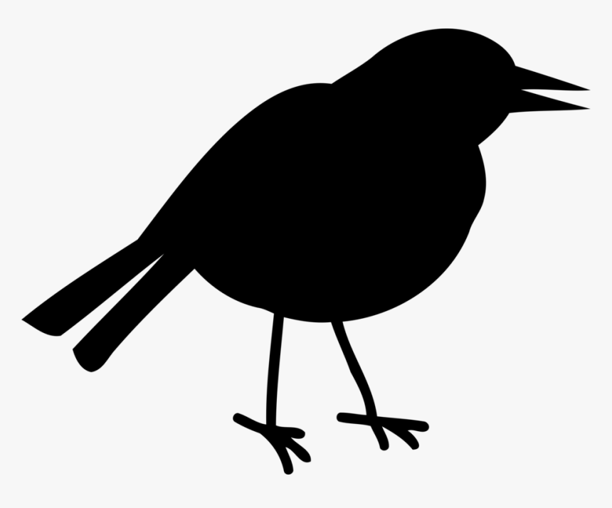 Silhouette,american Crow,monochrome Photography - American Robin, HD Png Download, Free Download