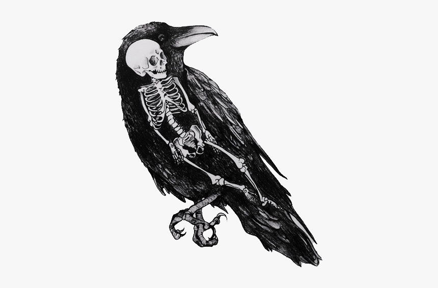 Clip Art The Crow Wondered How - Crow Black And White, HD Png Download, Free Download