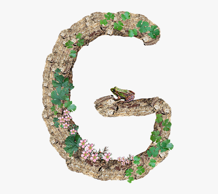 Transparent Smoke Letters Png - Bufo, Png Download, Free Download