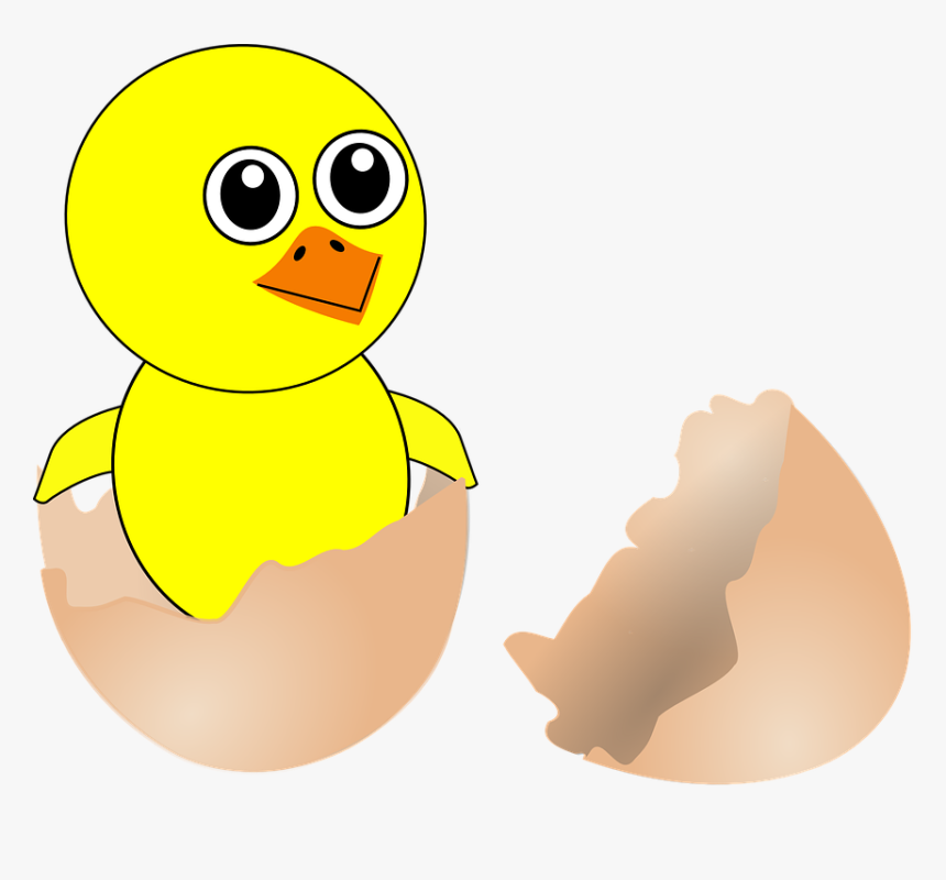Free Vector Funny Chick Cartoon Newborn Coming Out - Born Clipart, HD Png Download, Free Download