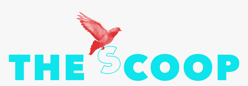 The Scoop - Songbird, HD Png Download, Free Download