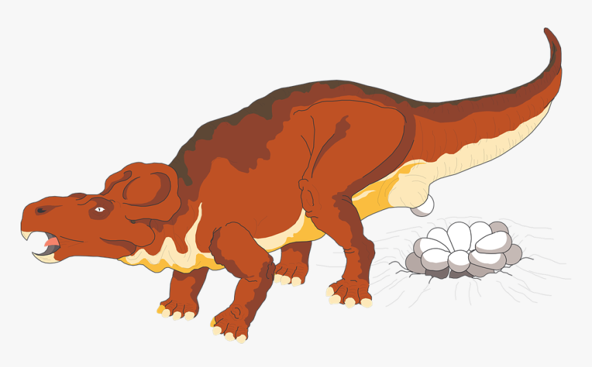 Eggs Dinosaur Mother - Animals Lay Eggs Clipart, HD Png Download, Free Download