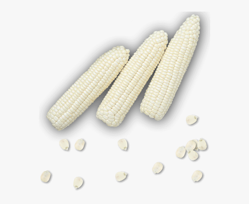 Transparent Elotes Png - Corn Kernels, Png Download, Free Download