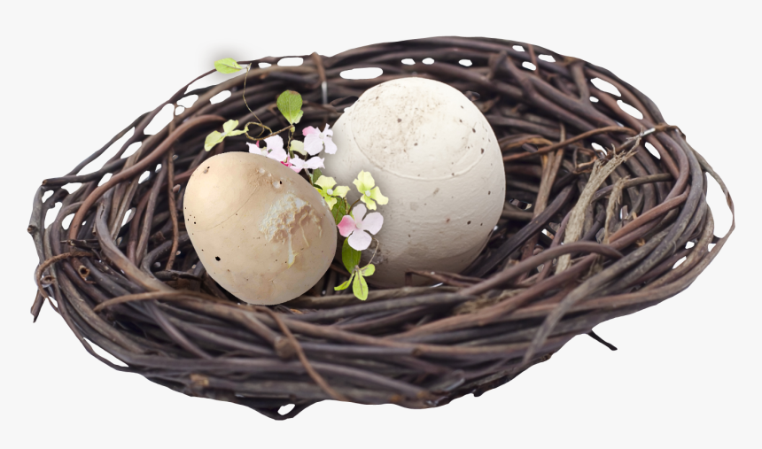 Bird Easter Transprent Png Free Download Basket, Transparent Png, Free Download