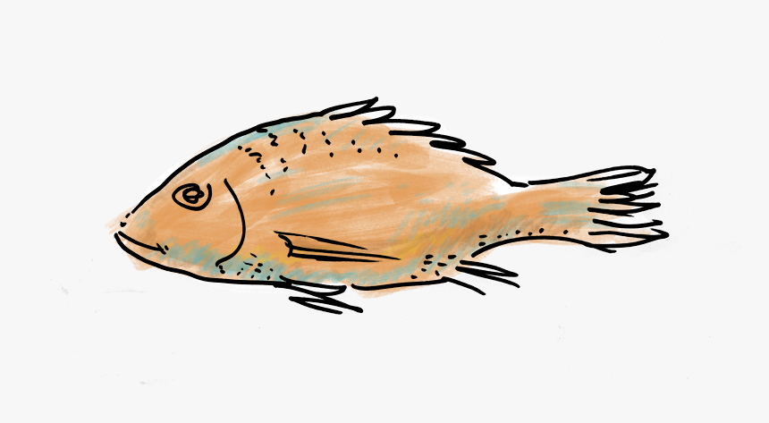 Fish - Sole, HD Png Download, Free Download