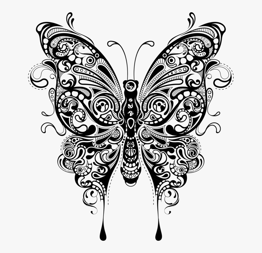 Art Symmetry Monochrome Photography Butterfly Mandala Svg Free Hd Png Download Kindpng