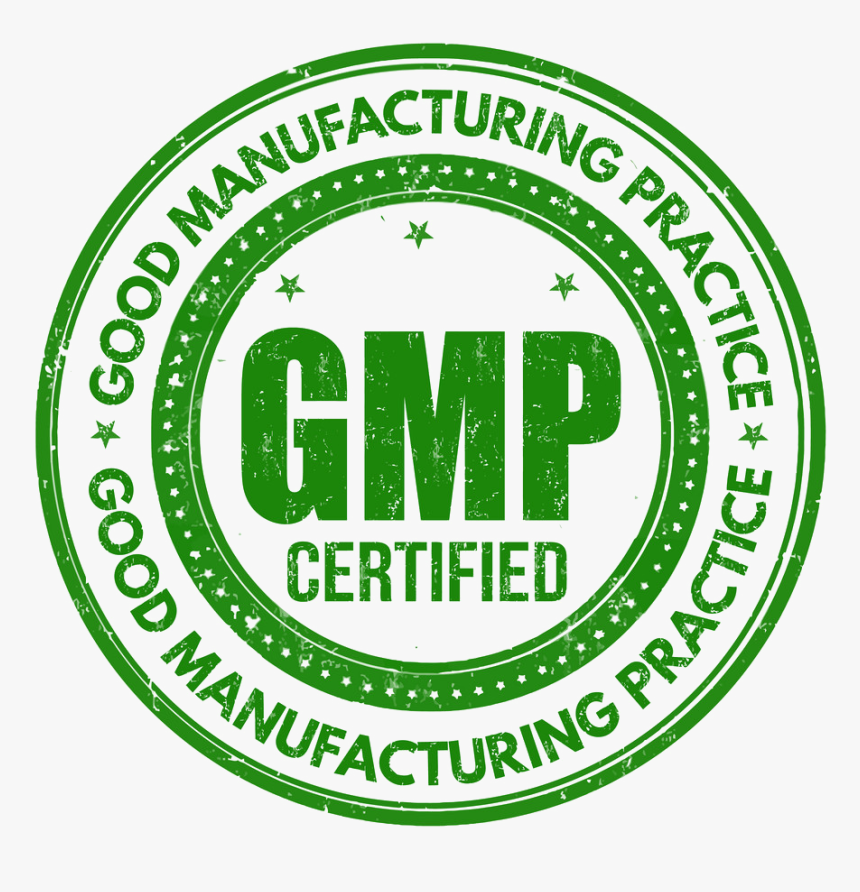 Gmp Certification, HD Png Download, Free Download