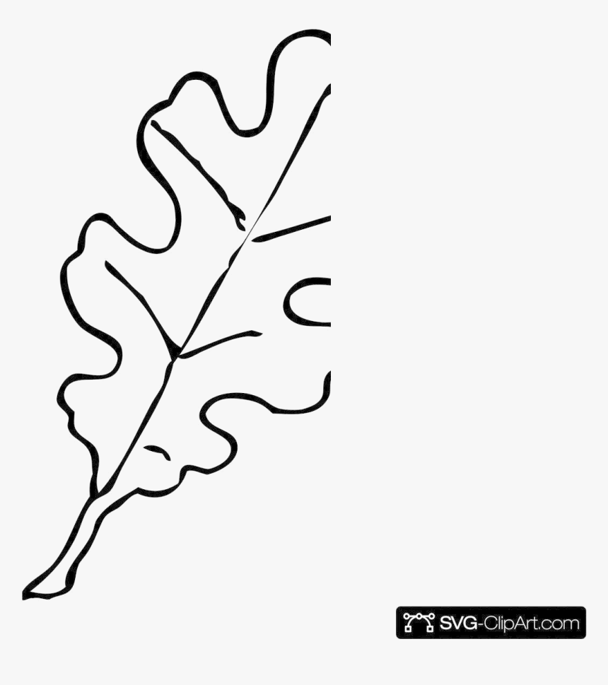 Leaf Outline Coloring Oak Free Maple Clip Art Simple - Outline Leaf Clipart Black And White, HD Png Download, Free Download
