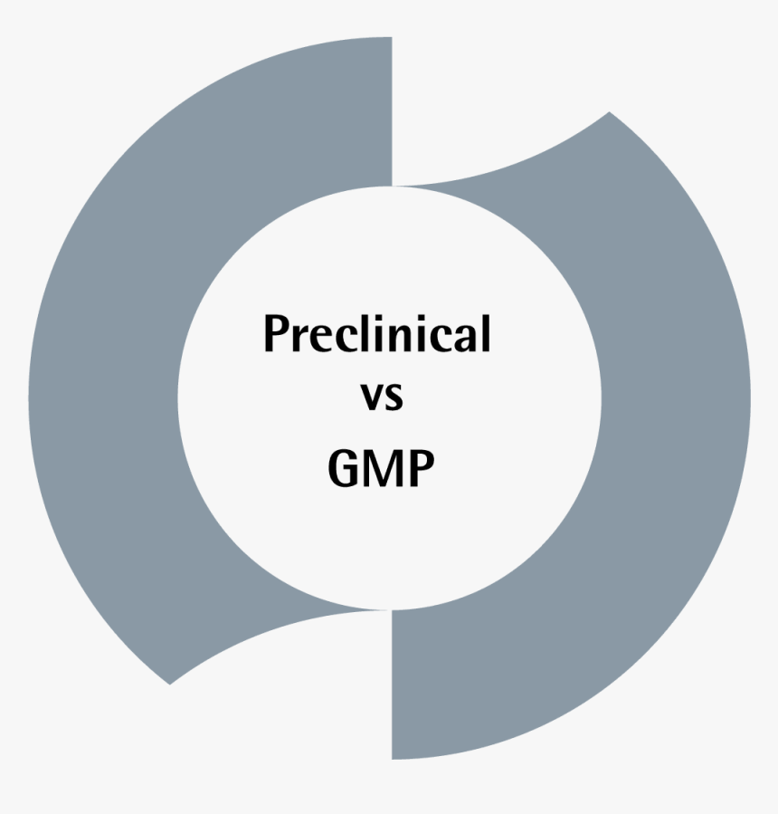 Circle, HD Png Download, Free Download