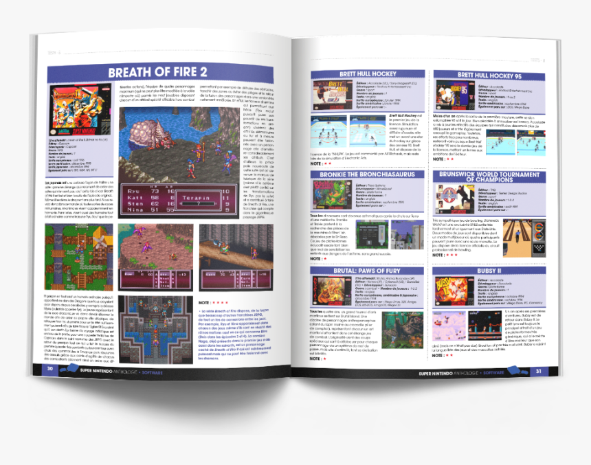 Pages 30 31 - Super Nintendo Hardware Anthologie, HD Png Download, Free Download