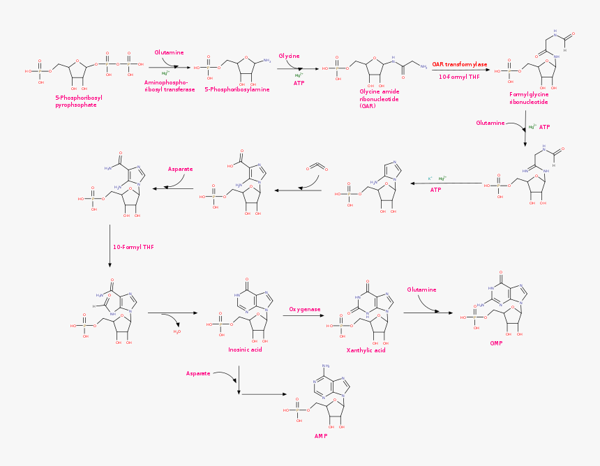 File - Gmp Biosynthesis - Svg - Ink, HD Png Download, Free Download