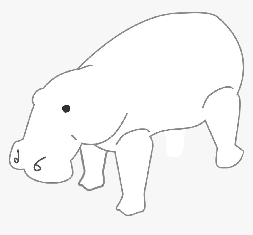 Hippo, Animal, Outlines, White - โครง ร่าง รูป สัตว์, HD Png Download, Free Download