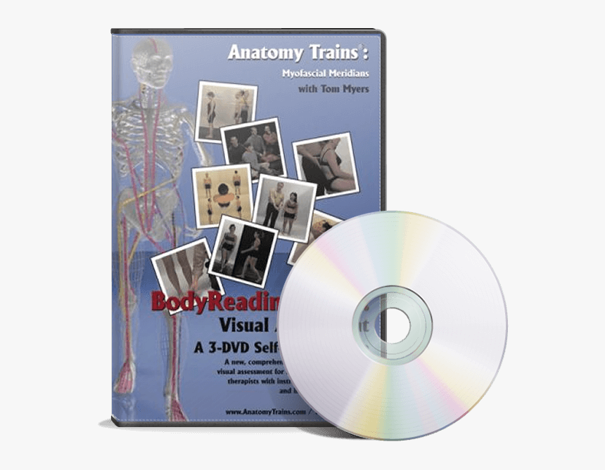 Bodyreading 101™ Dvd - Anatomy Trains Revealed Dvd, HD Png Download, Free Download