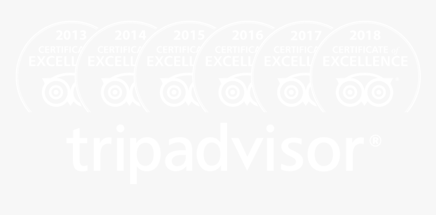 Tripadvisor Llc, HD Png Download, Free Download