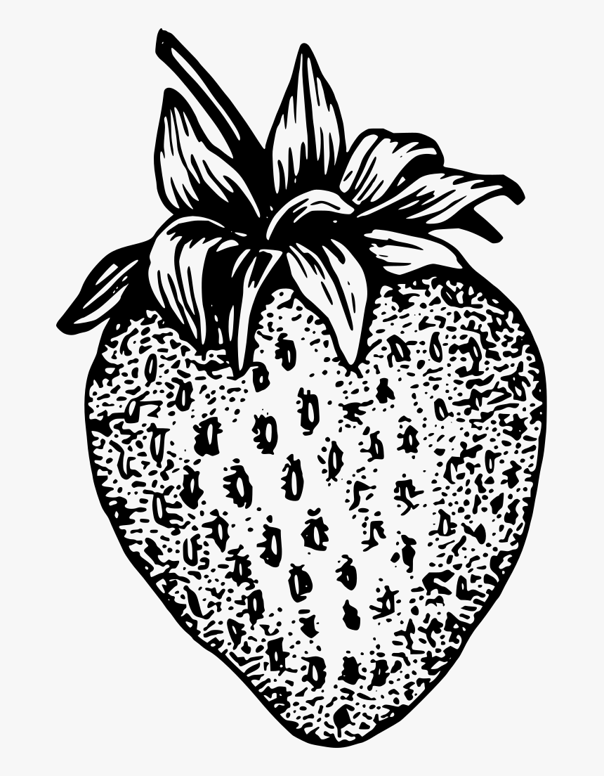 Black And White Strawberries Illustration, HD Png Download, Free Download