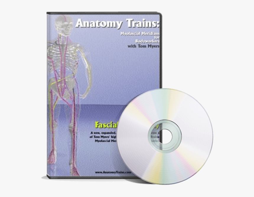 Fascial Tensegrity - Anatomy Trains Revealed Dvd, HD Png Download, Free Download