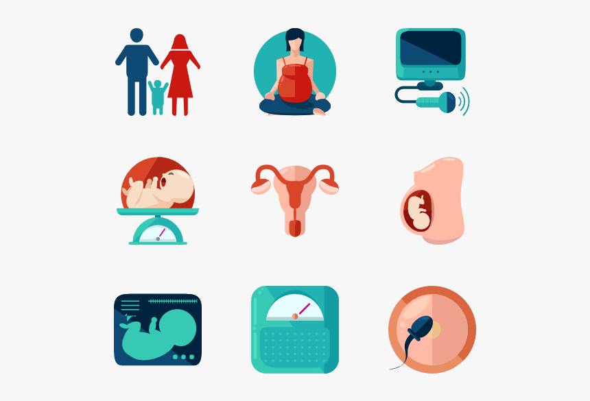 Pregnancy - Educacion Sexual Planificación Familiar, HD Png Download, Free Download