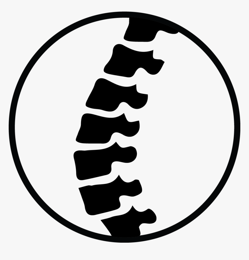 L - Chiropractic Logo Clip Art, HD Png Download, Free Download