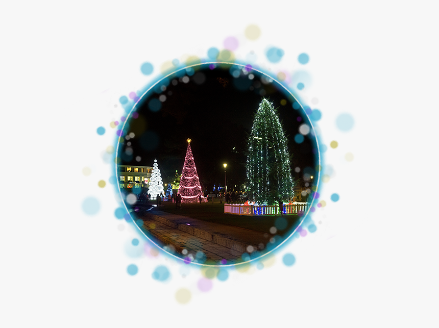 3 Christmas Tree"s In Blue Sparkle Circle - Christmas Tree Wonderland, HD Png Download, Free Download