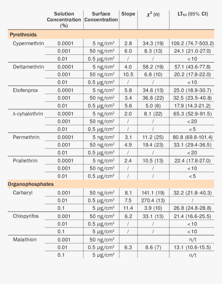 Document, HD Png Download, Free Download