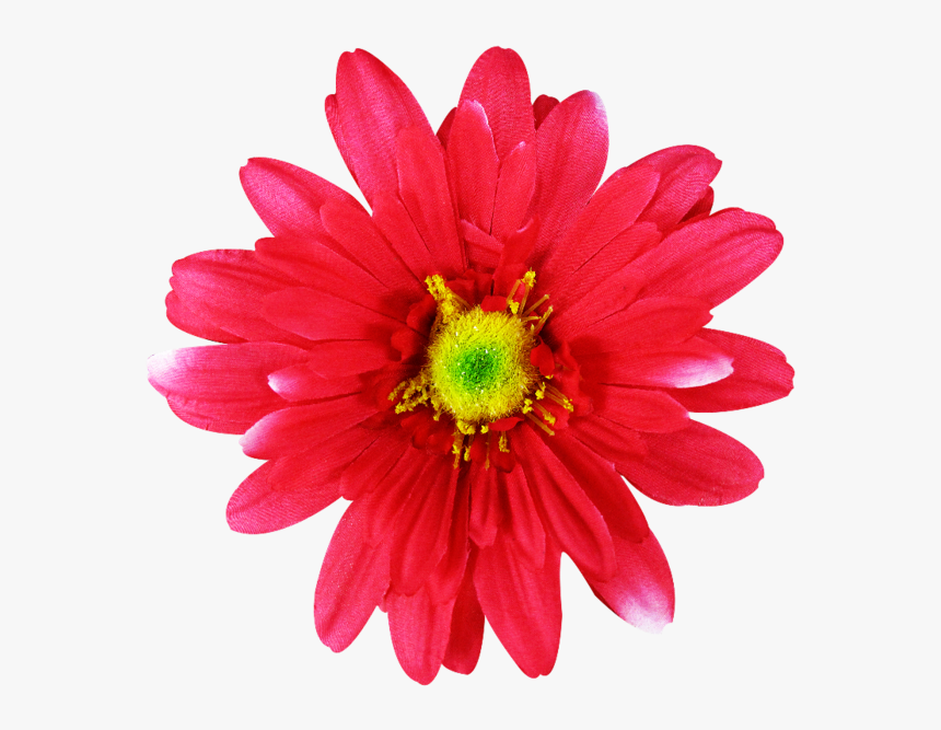 Common Daisy Pink Flowers Dahlia - Pink Cut Out Florwer, HD Png Download, Free Download