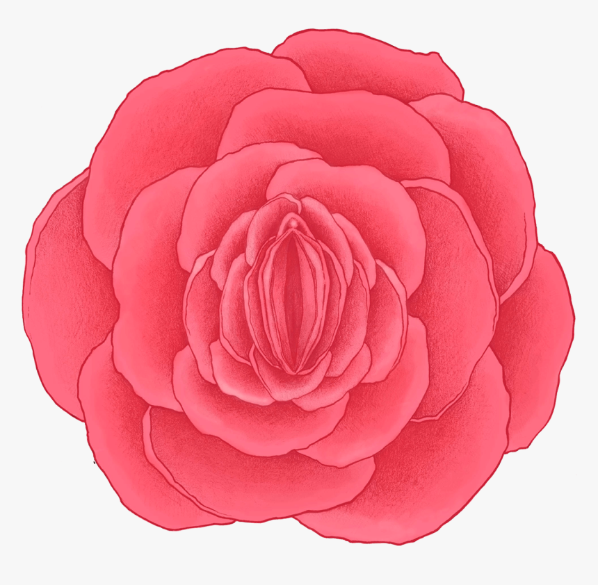 Rose Vagina , Png Download - Roses As A Vagina, Transparent Png, Free Download