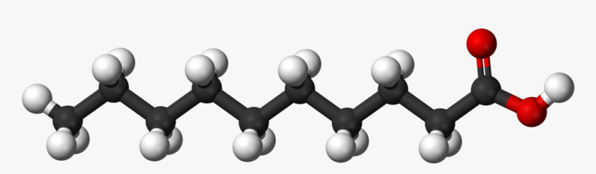 Decanoic Acid - Fatty Acids Png, Transparent Png, Free Download