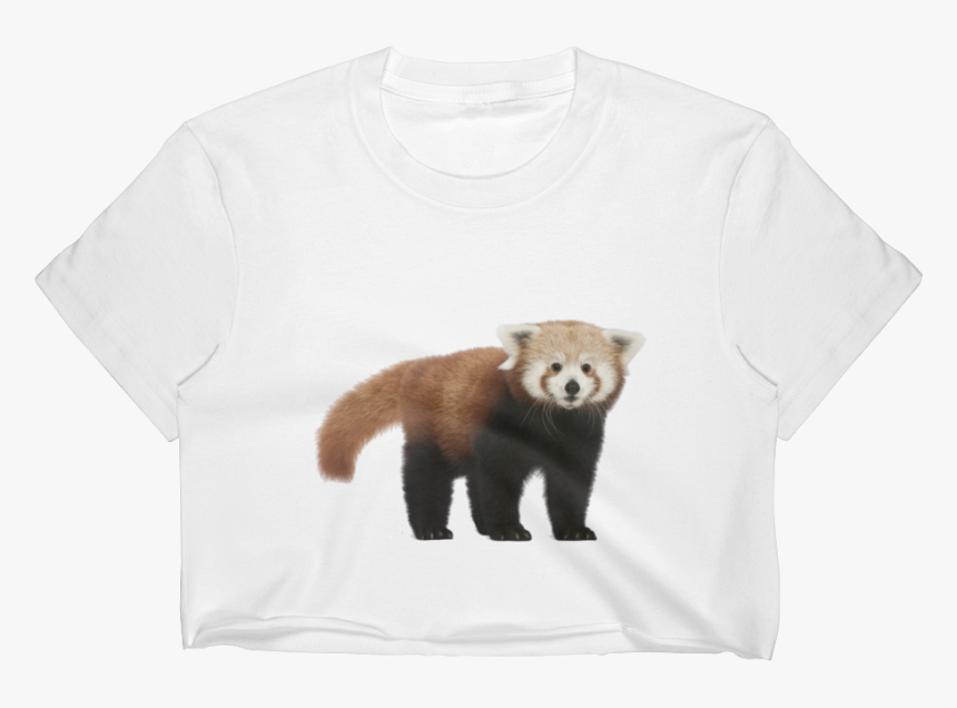 "
 Class="lazyload Lazyload Mirage Cloudzoom Featured - Red Panda, HD Png Download, Free Download