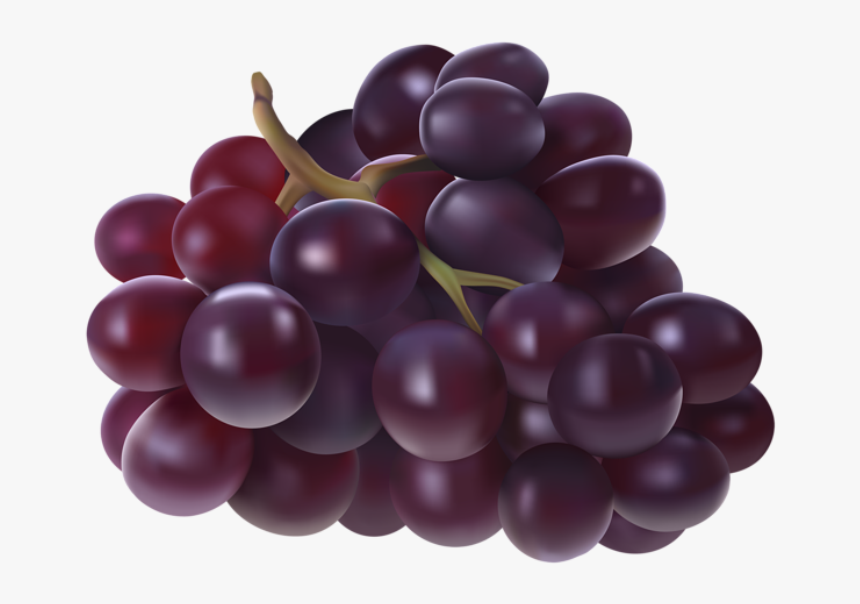 Imagem De Frutas - Grapes Transparent Clip Art, HD Png Download, Free Download