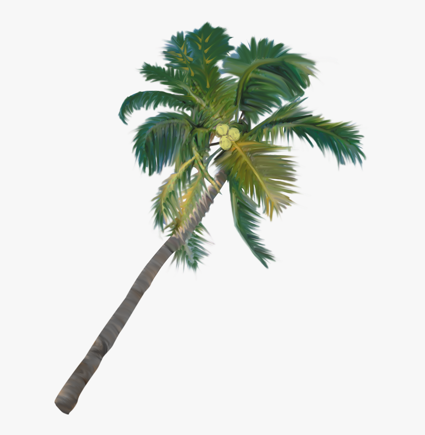 Photoshop Tree Coconut Elevation , Png Download - Palm Trees Elevation, Transparent Png, Free Download