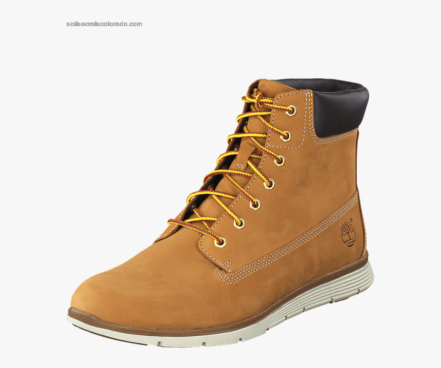 Women"s Timberland Killington 6 In Boot Wheat Nubuck - Work Boots, HD Png Download, Free Download