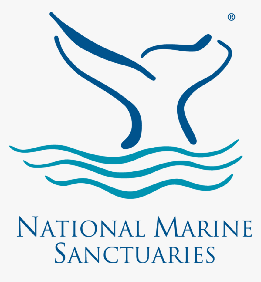 Transparent Sebastian Stan Png - Florida Keys National Marine Sanctuary Logo, Png Download, Free Download