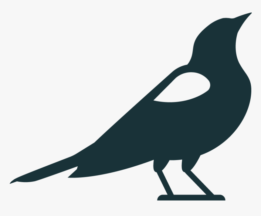 Blackbird, HD Png Download, Free Download