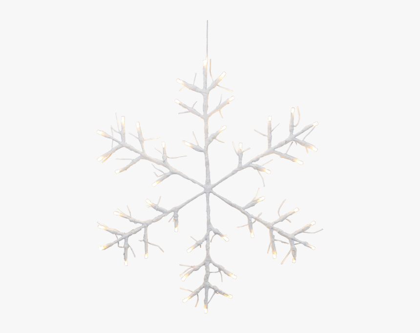 Snowflake Tobby Star - Vector Graphics, HD Png Download, Free Download