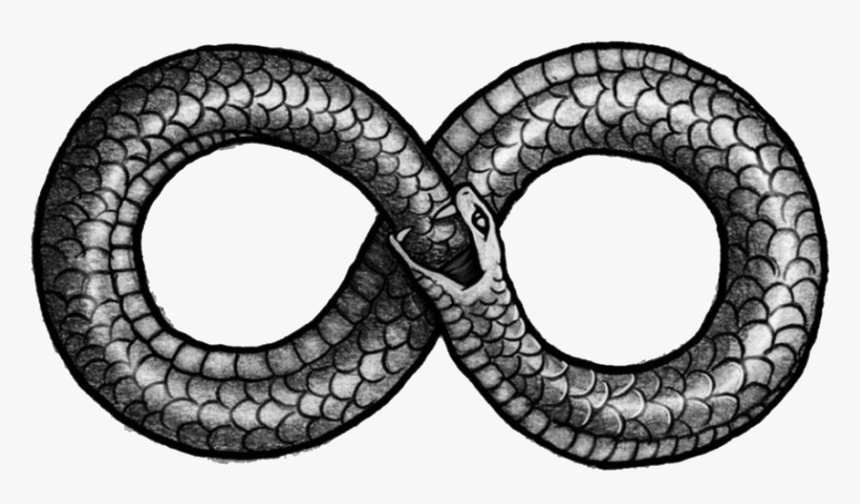 Ouroboros Png Picture - Snake In Figure 8, Transparent Png, Free Download